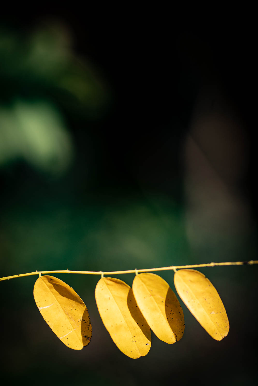 2022 10.Mornay Portfolio 51