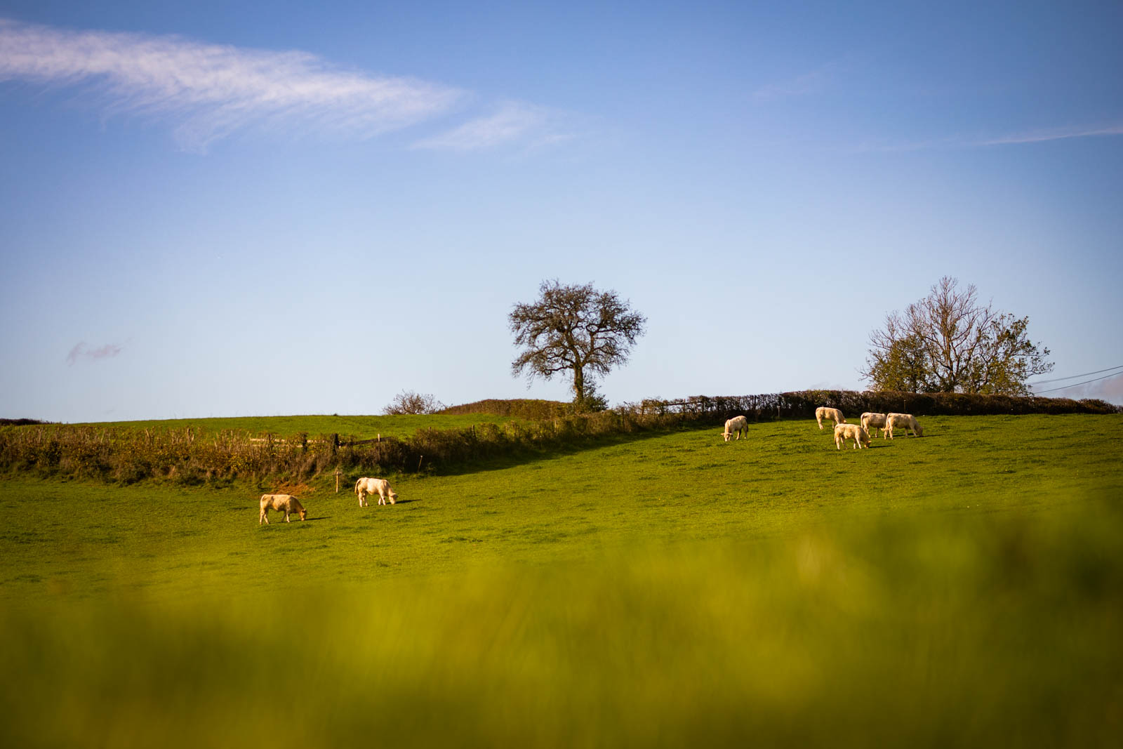 2022 10.Mornay Portfolio 53