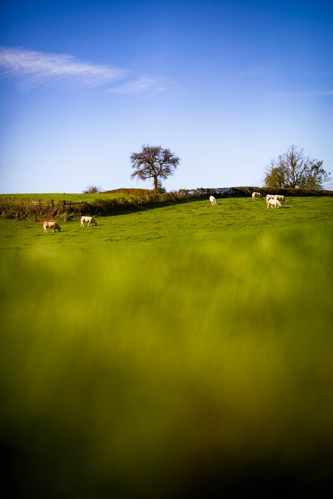 2022 10.Mornay Portfolio 54