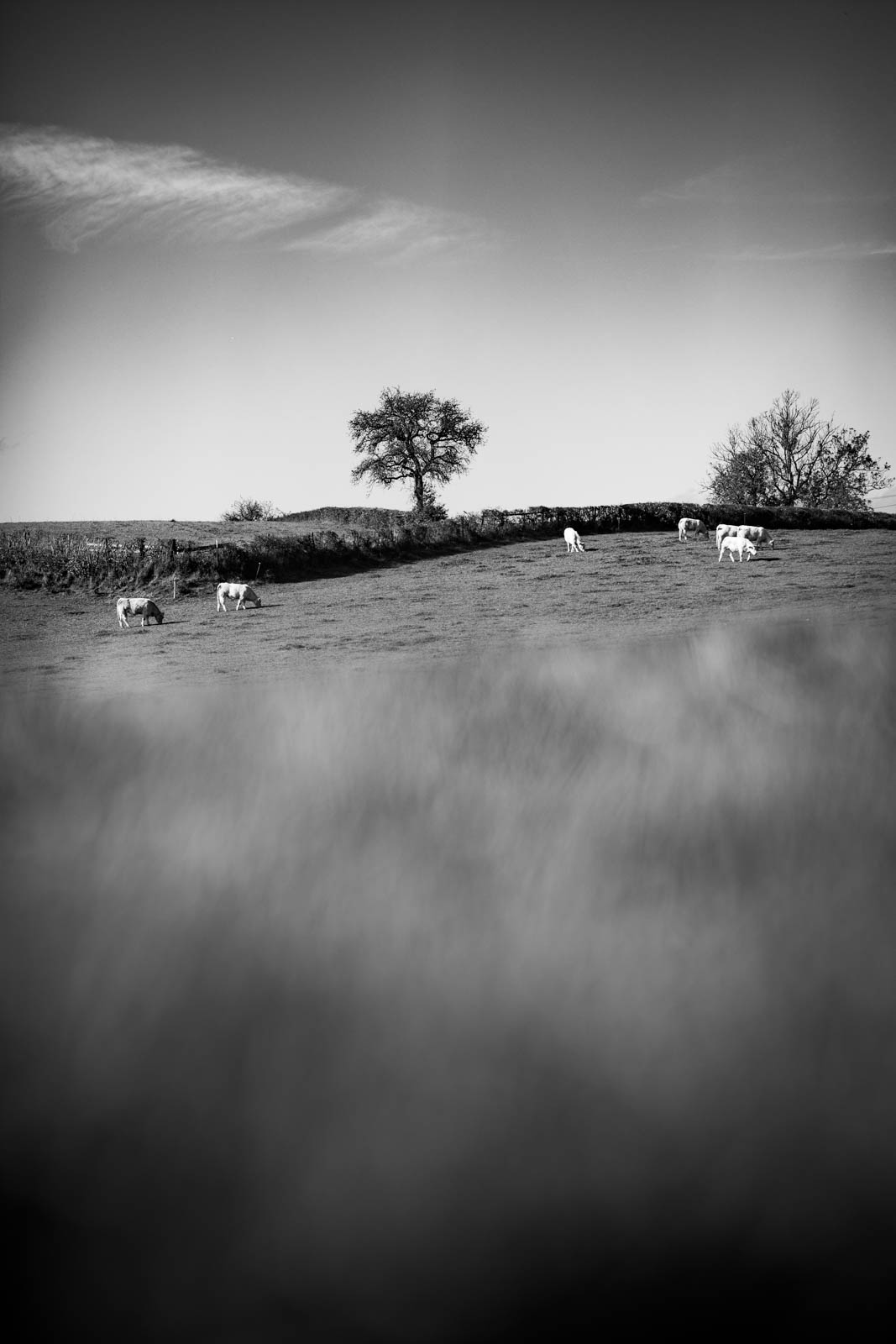 2022 10.Mornay Portfolio 55