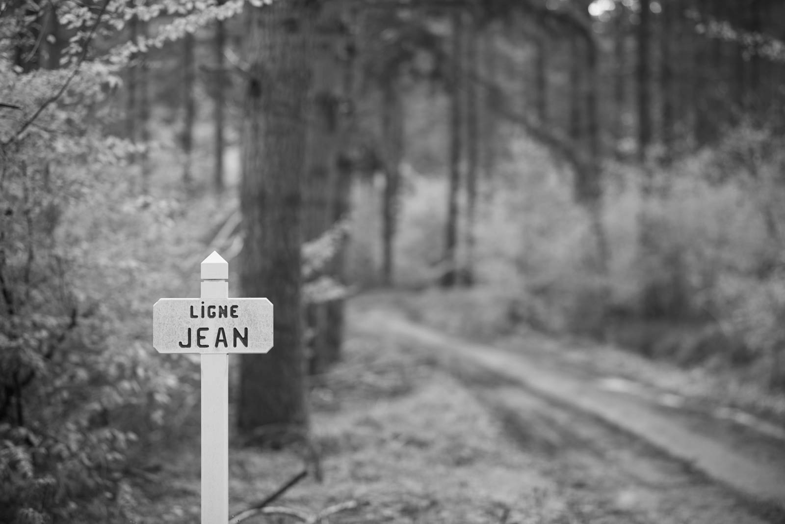 2022 10.Mornay Portfolio 60