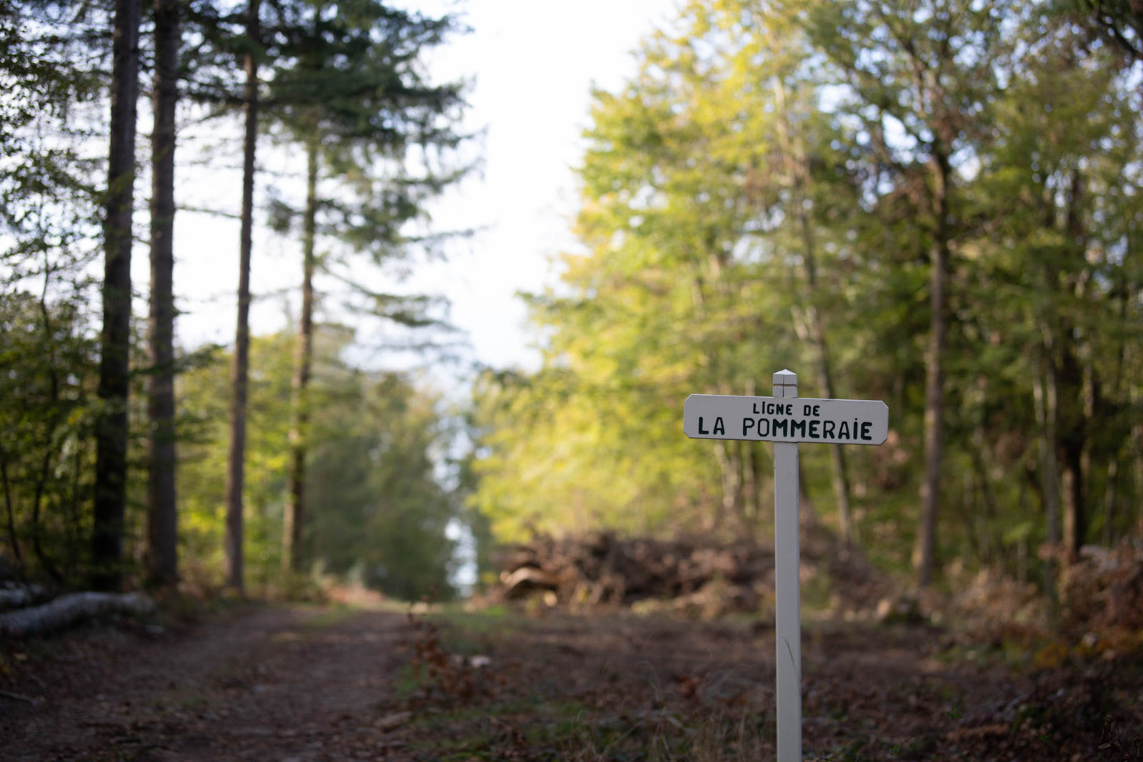 2022 10.Mornay Portfolio 61