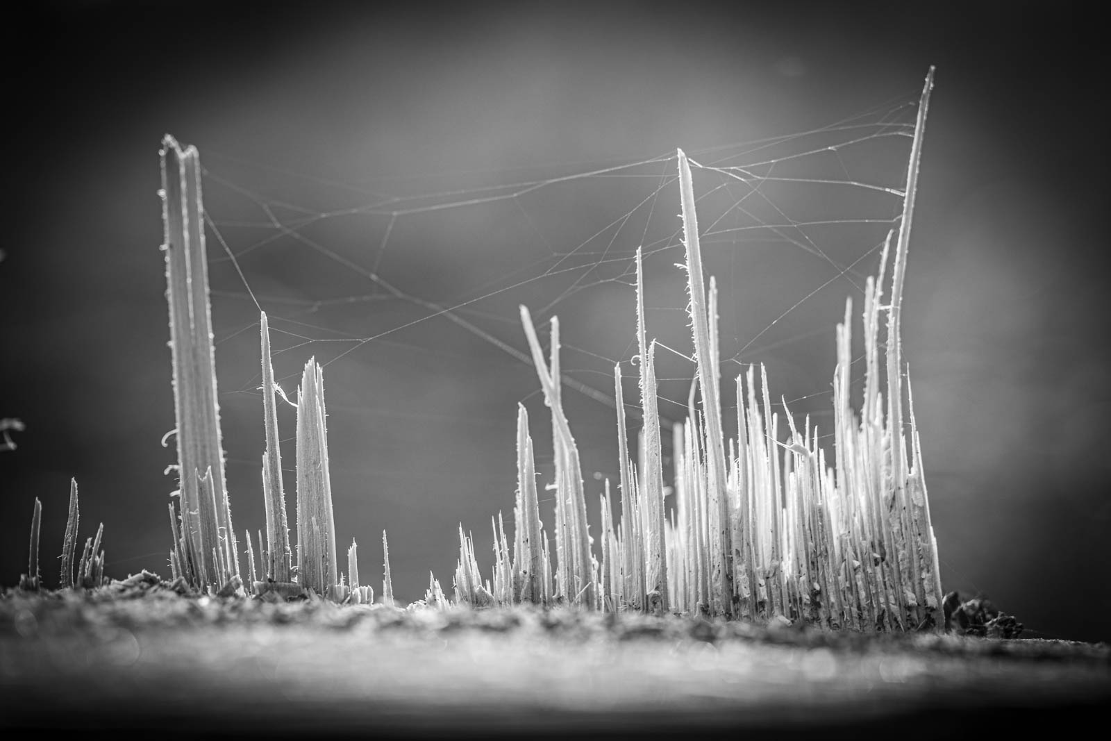 2022 10.Mornay Portfolio 65