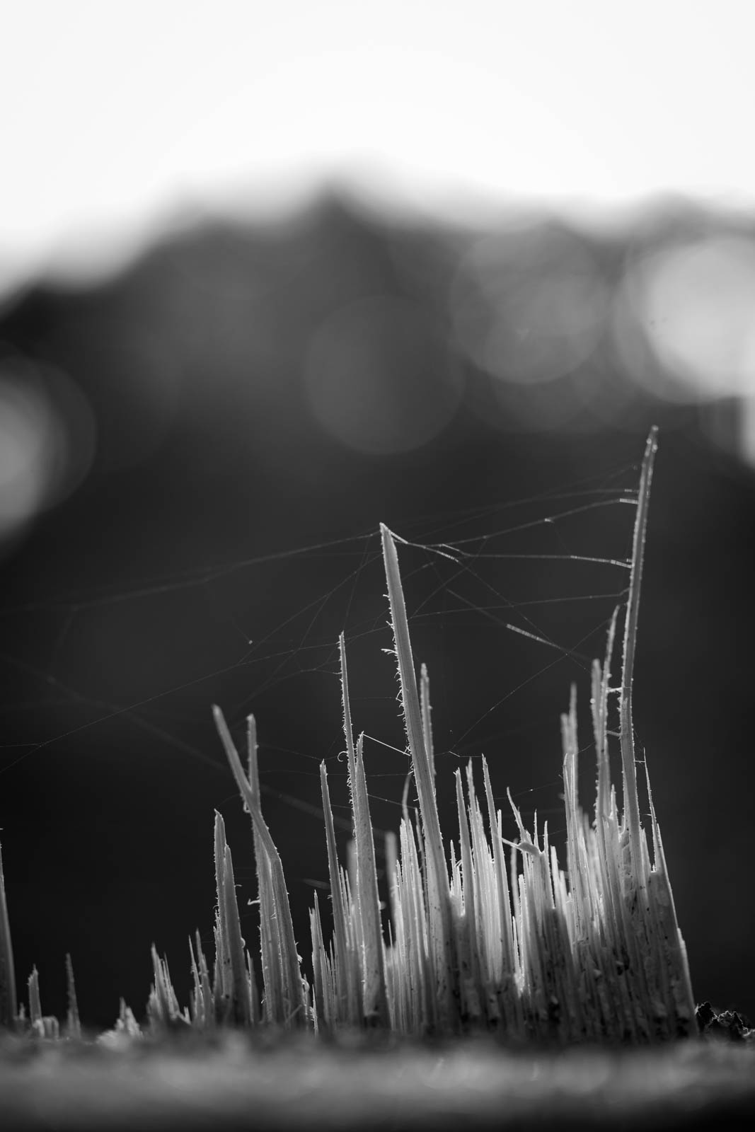 2022 10.Mornay Portfolio 66