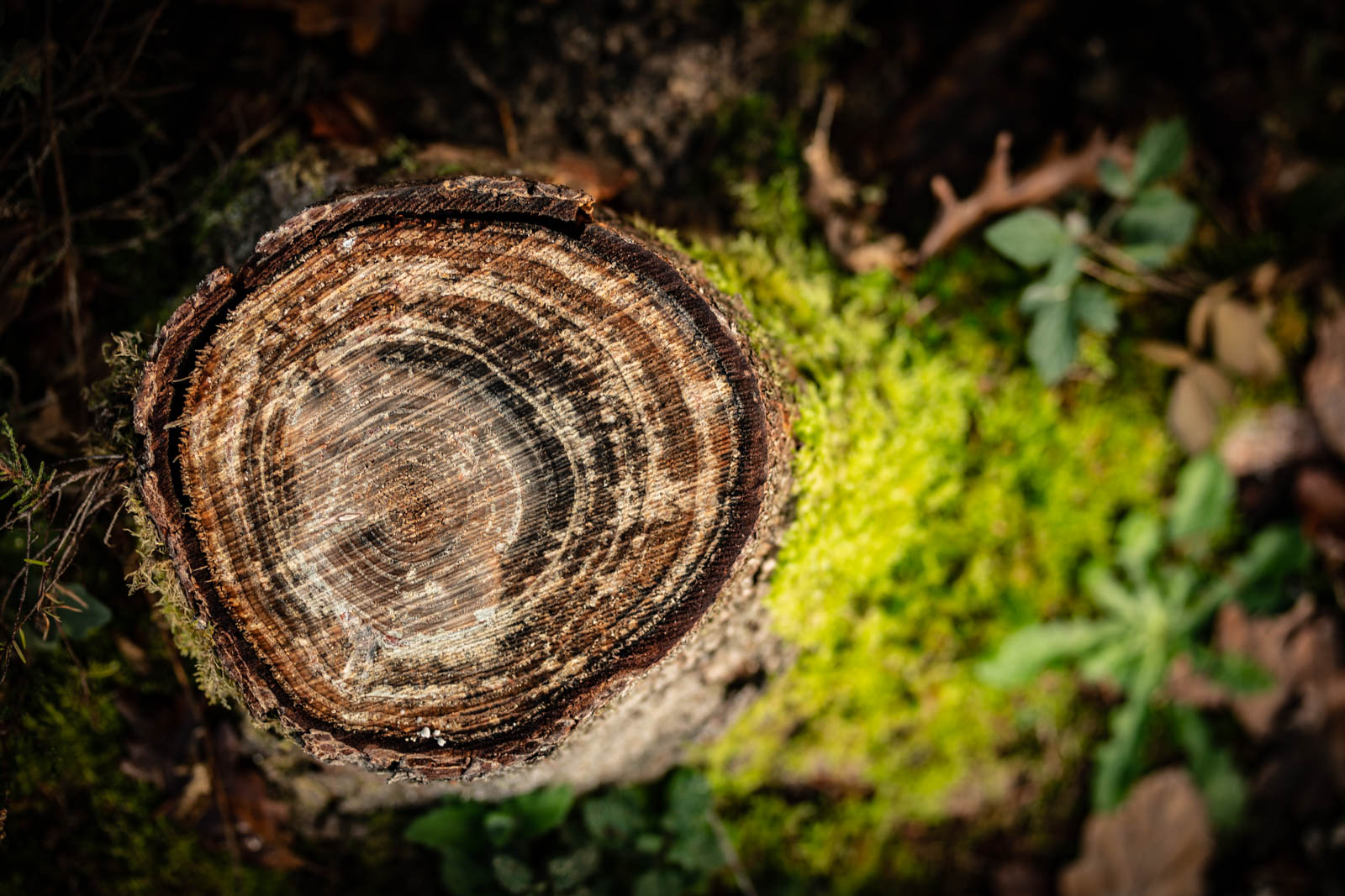 2022 10.Mornay Portfolio 67