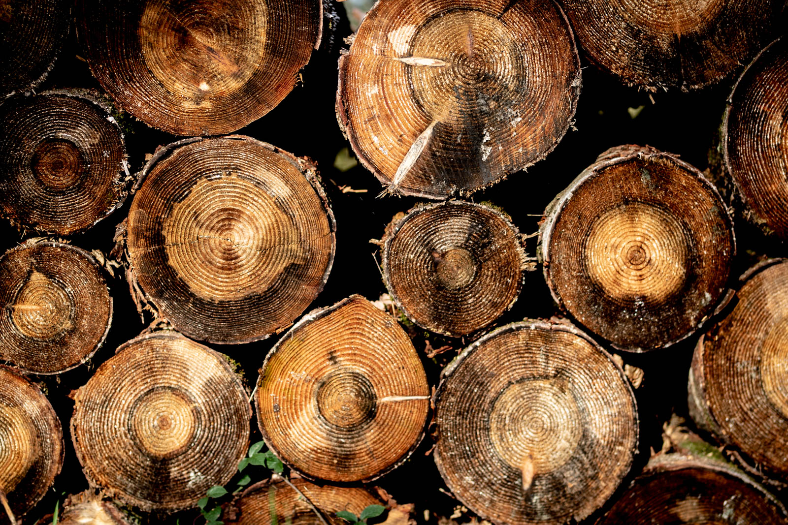 2022 10.Mornay Portfolio 68