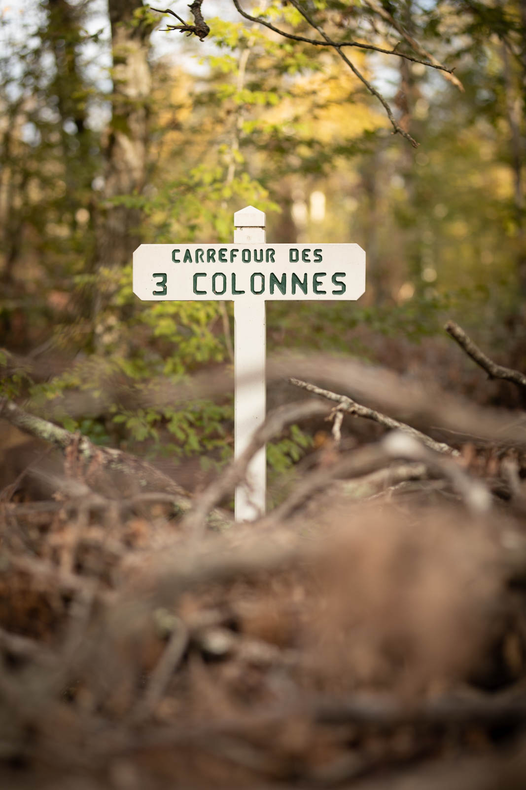 2022 10.Mornay Portfolio 69