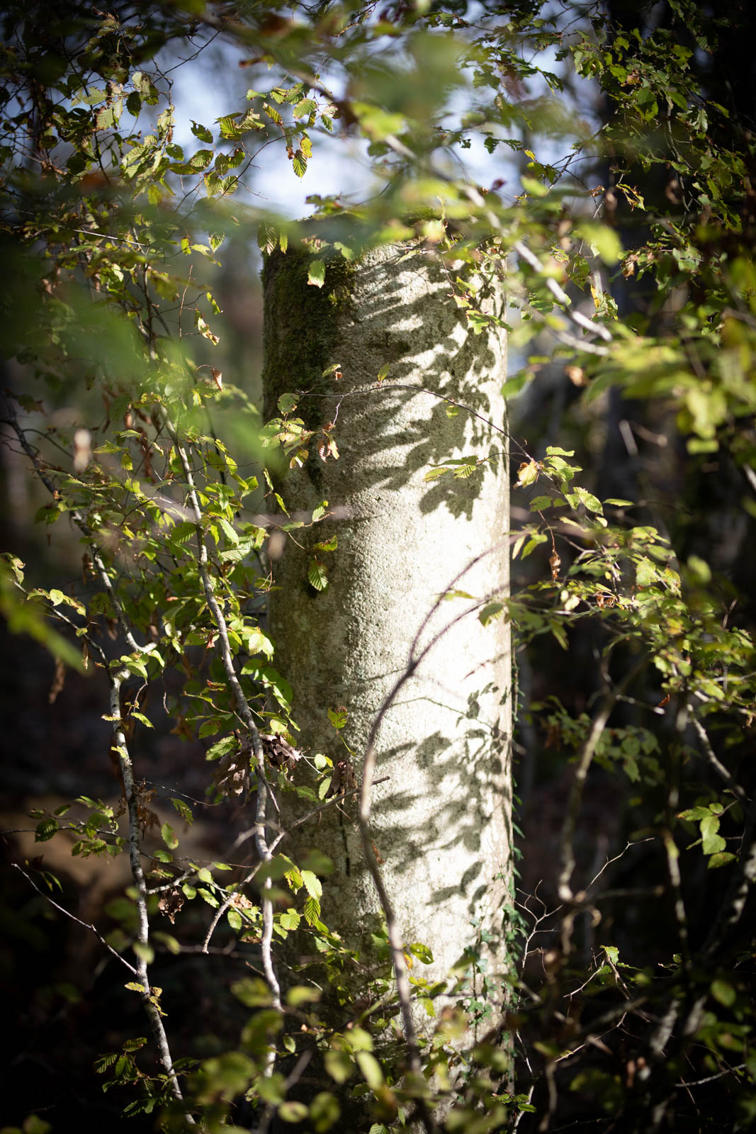 2022 10.Mornay Portfolio 70