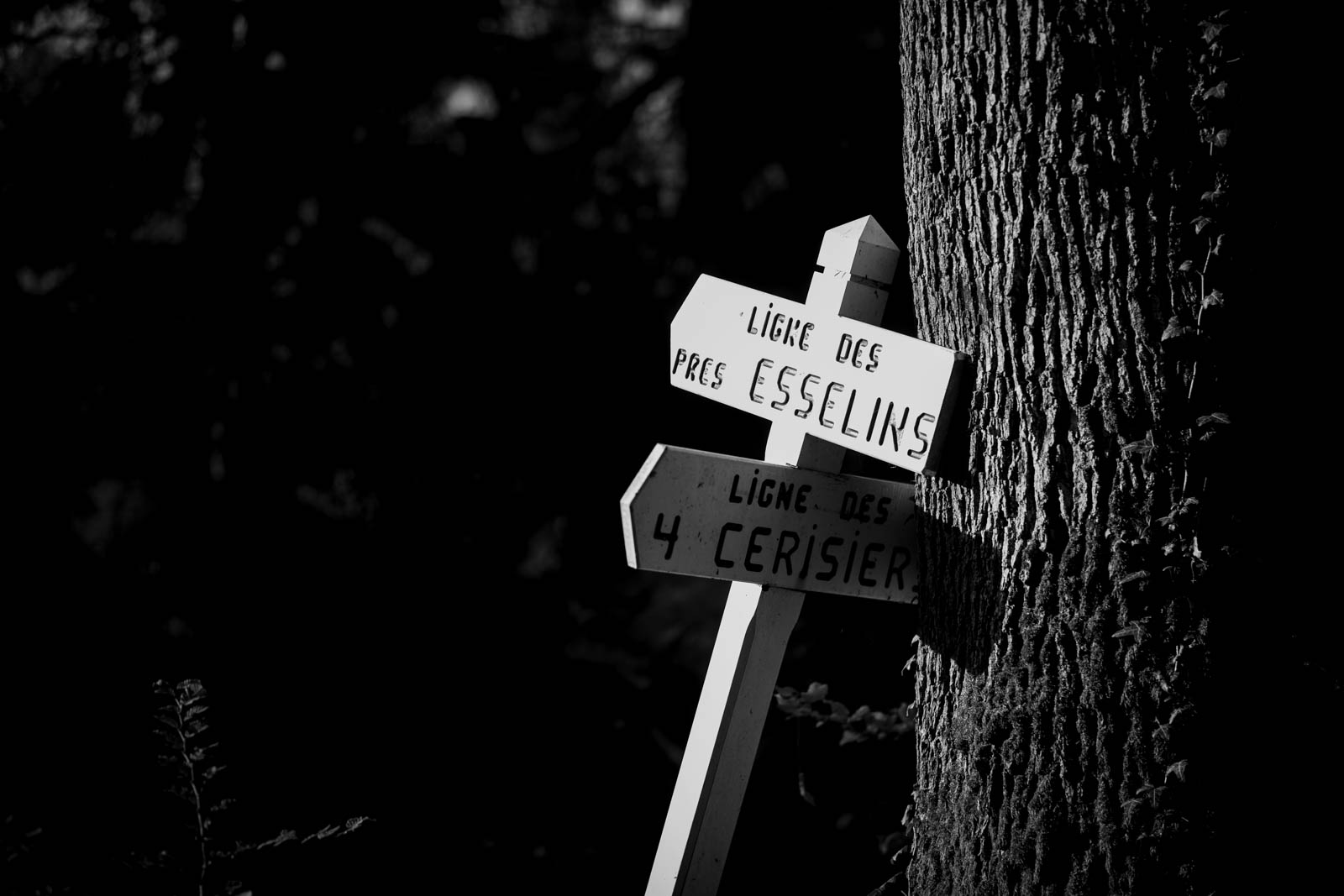 2022 10.Mornay Portfolio 71