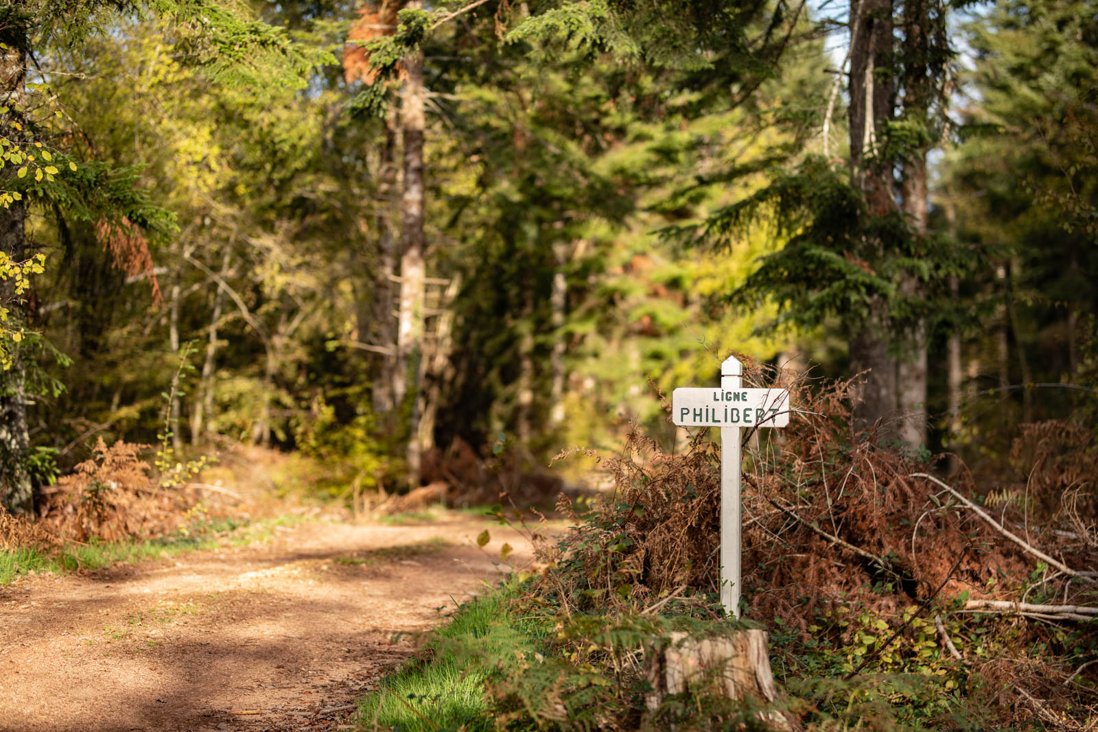 2022 10.Mornay Portfolio 72