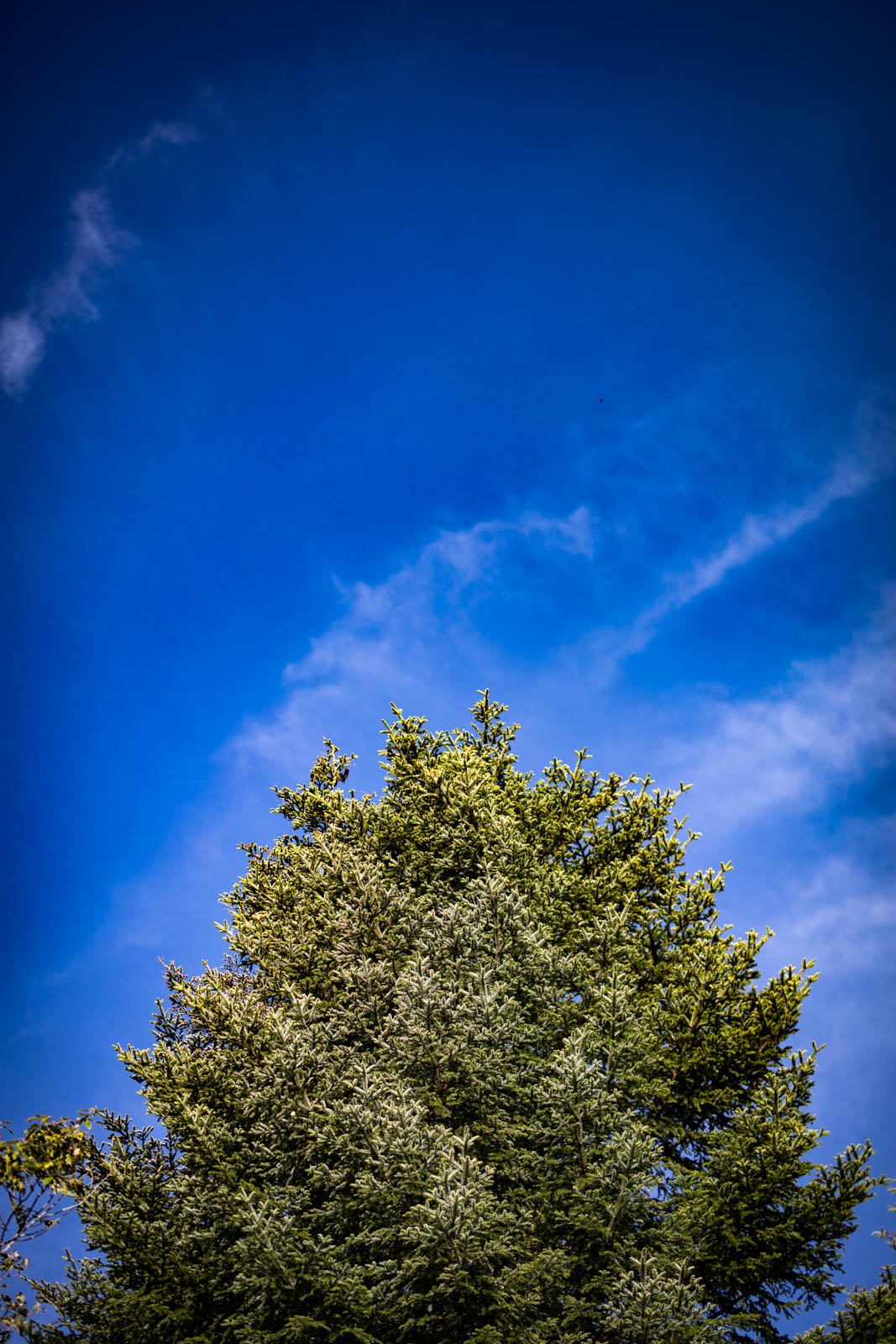 2022 10.Mornay Portfolio 73