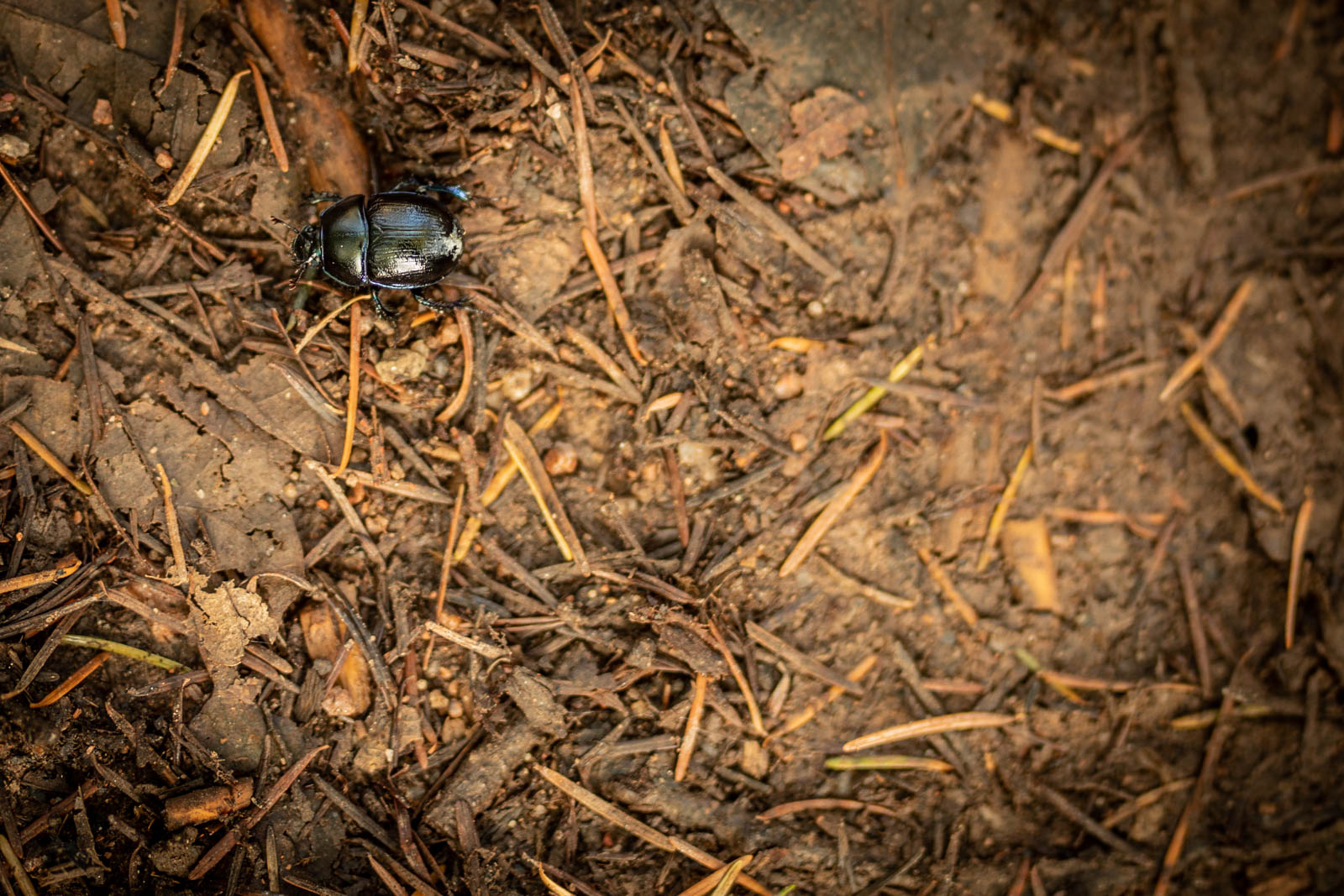 2022 10.Mornay Portfolio 76