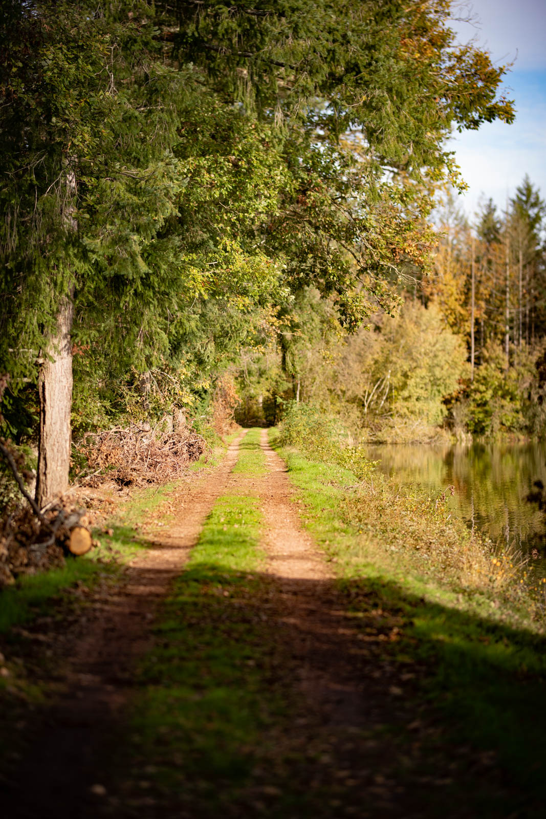 2022 10.Mornay Portfolio 78