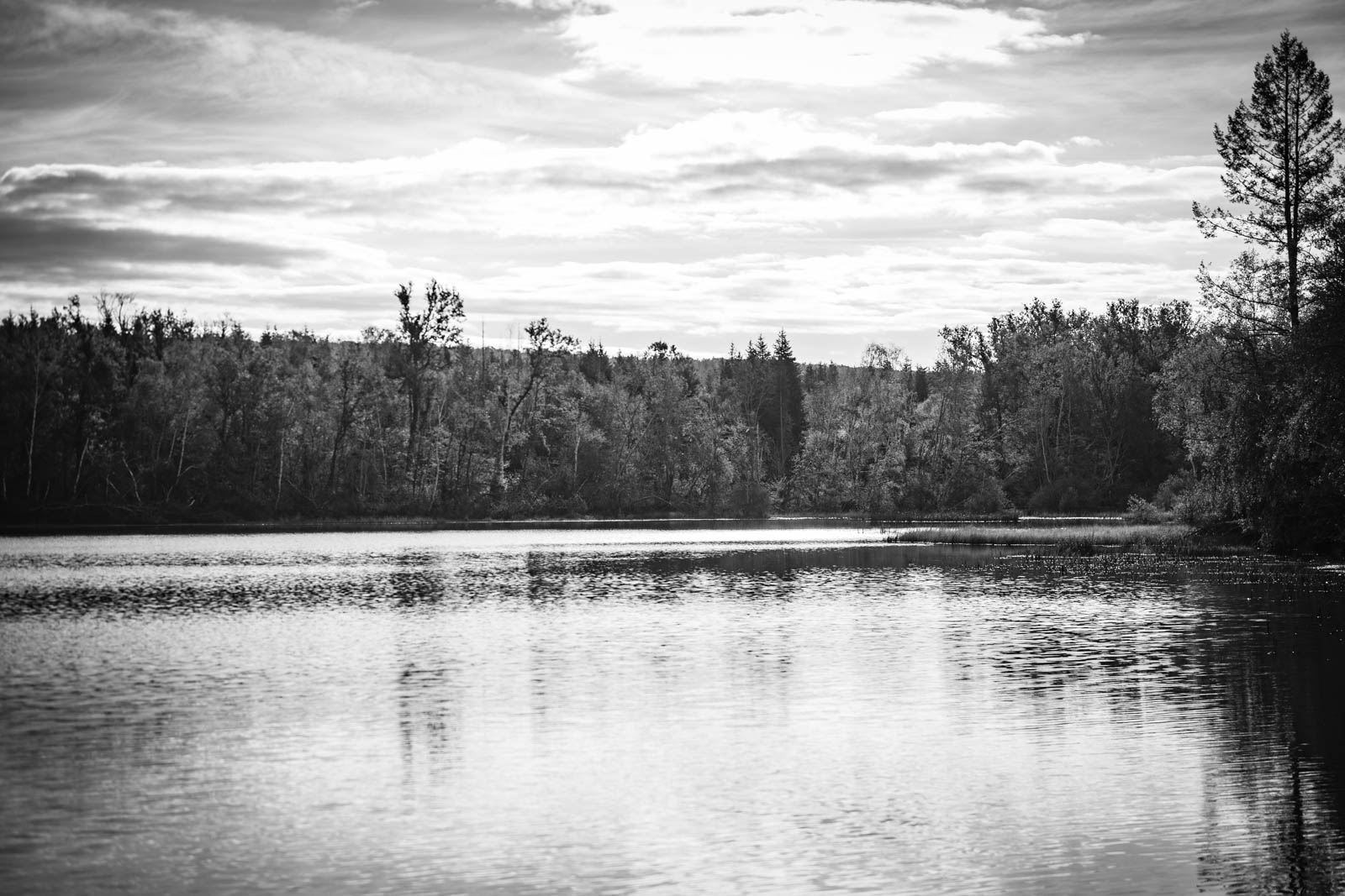 2022 10.Mornay Portfolio 79