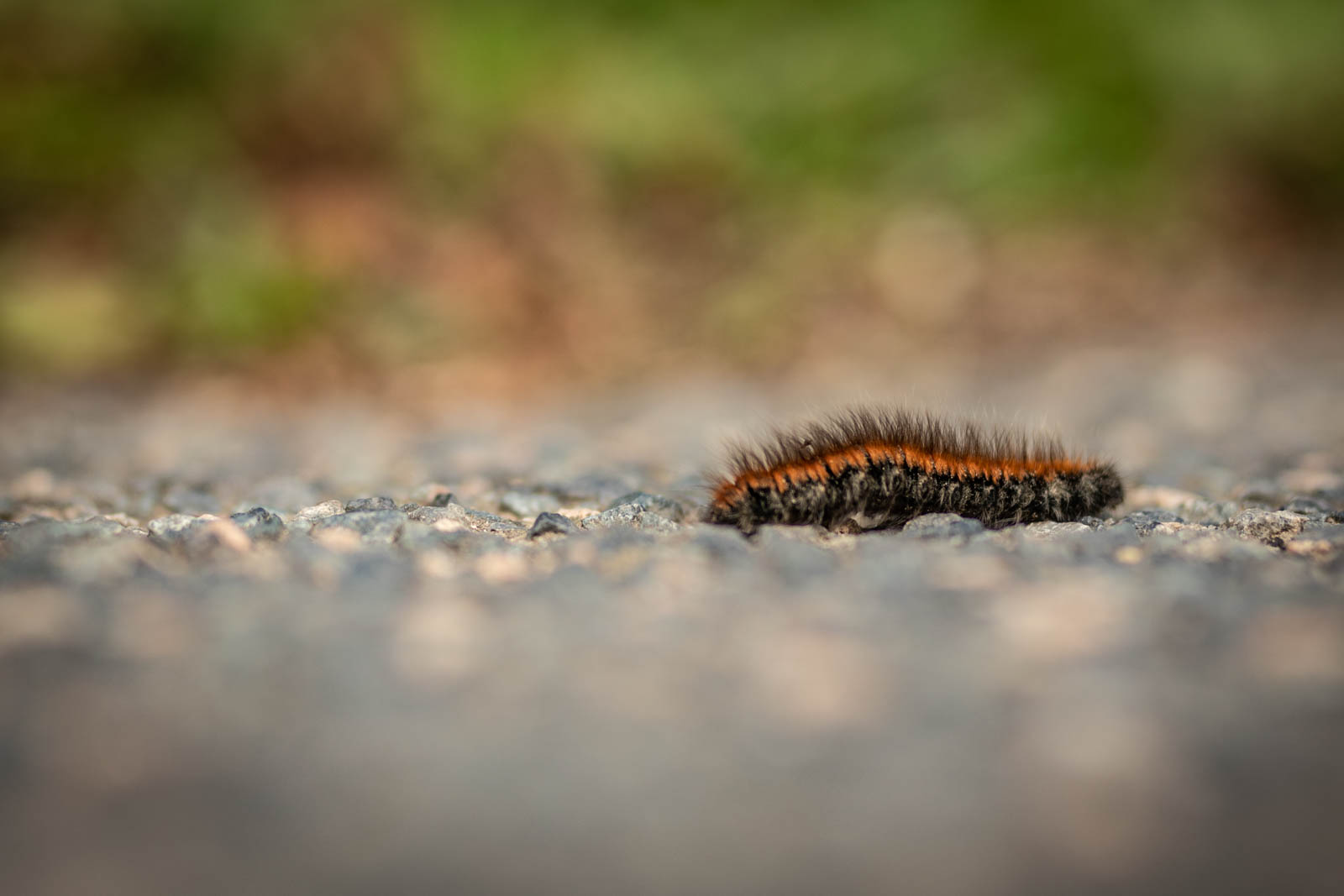 2022 10.Mornay Portfolio 80