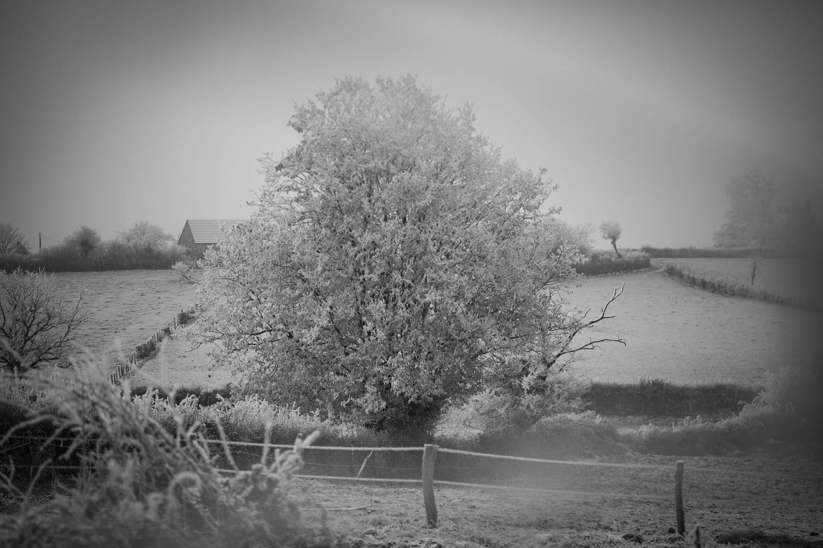 2022 12.Mornay Givré 30