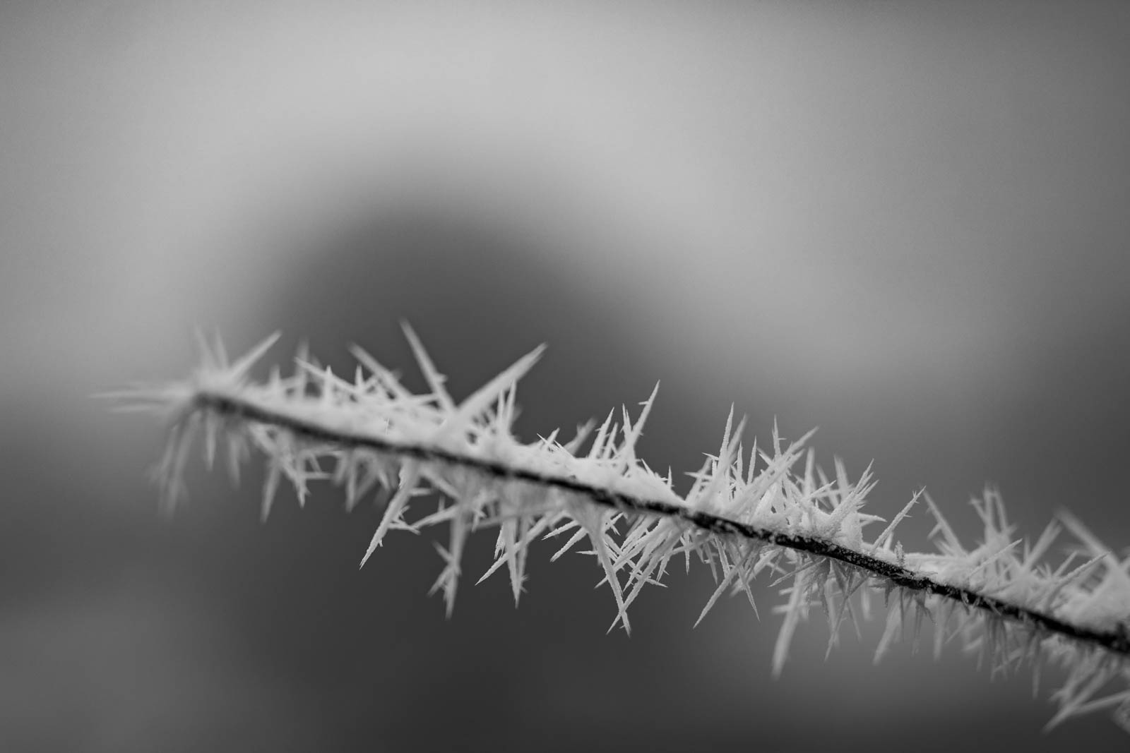 2022 12.Mornay Givré 31