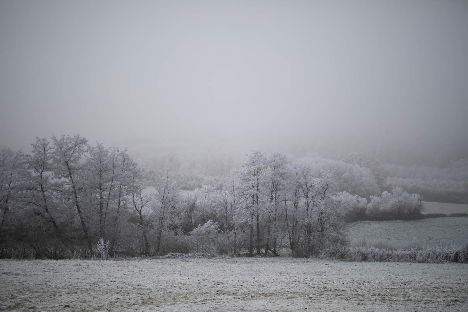 2022 12.Mornay Givré 34