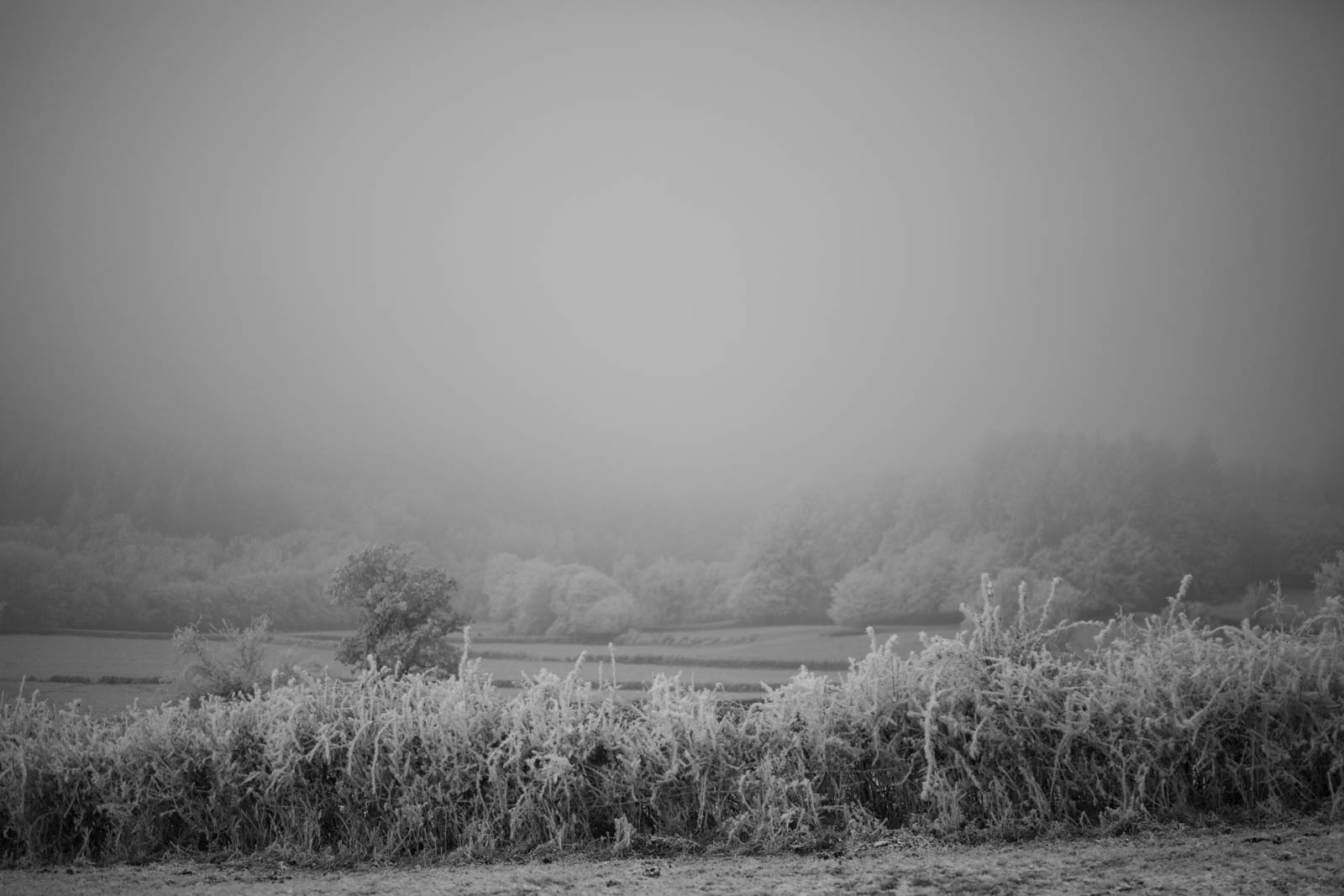 2022 12.Mornay Givré 37