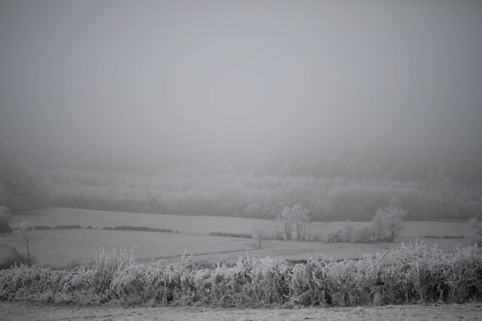 2022 12.Mornay Givré 38