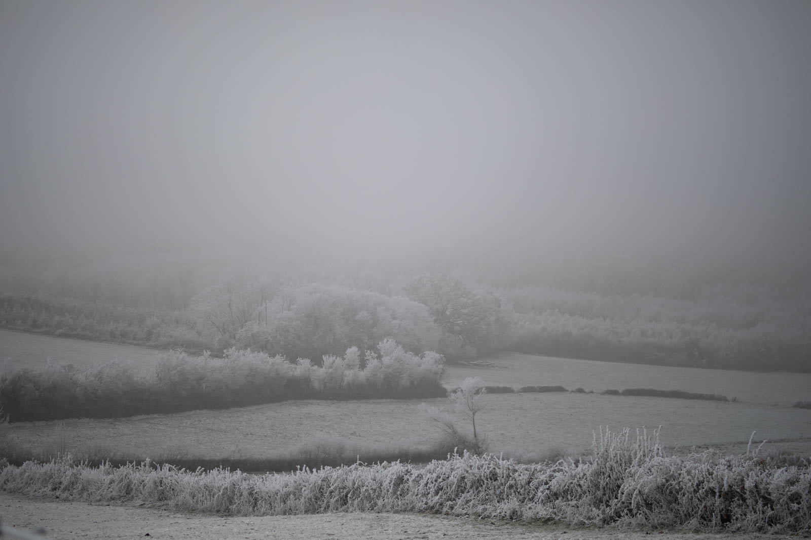 2022 12.Mornay Givré 39