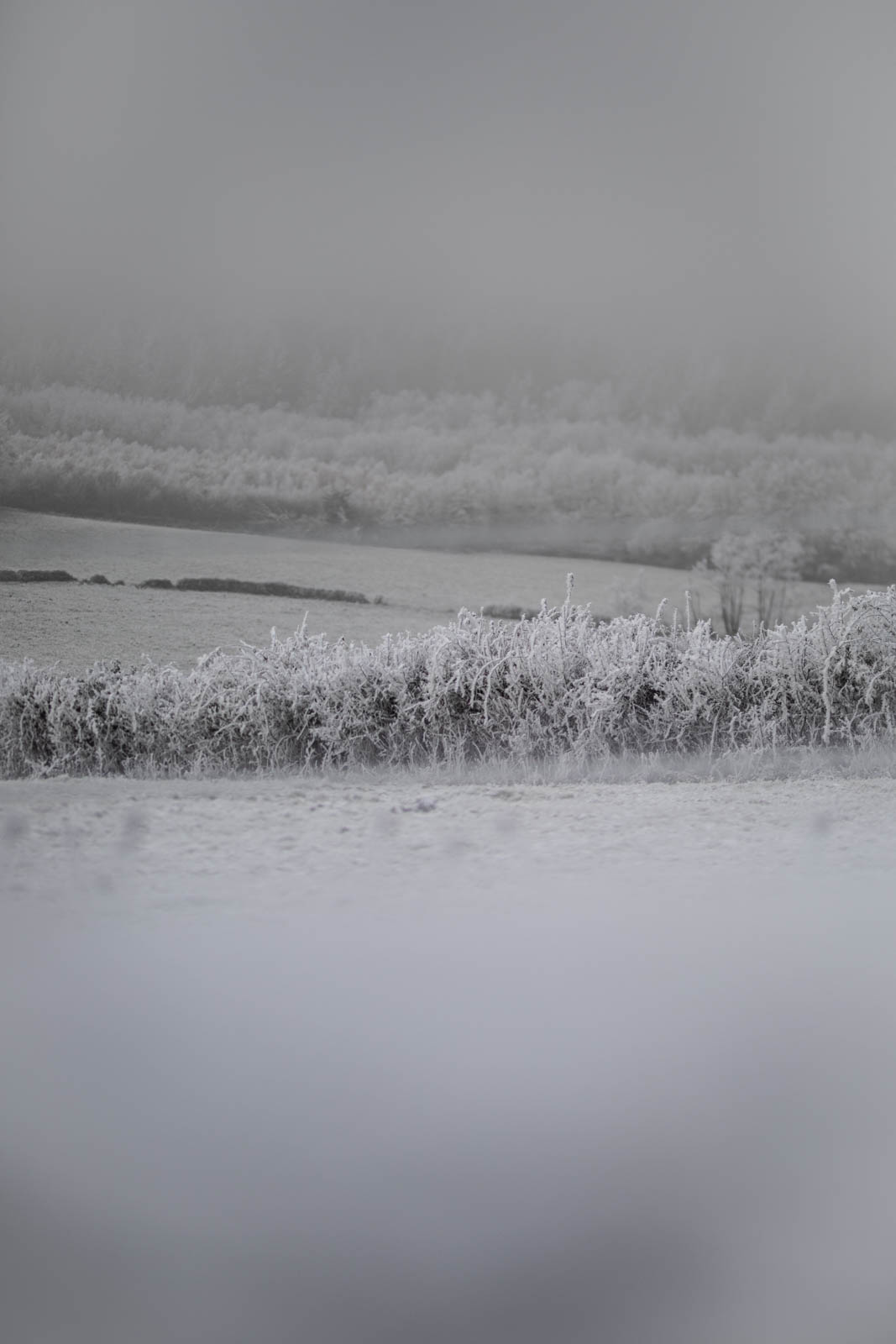 2022 12.Mornay Givré 41